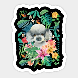 Tropical Gray Silver Toy Poodle 1 Sticker